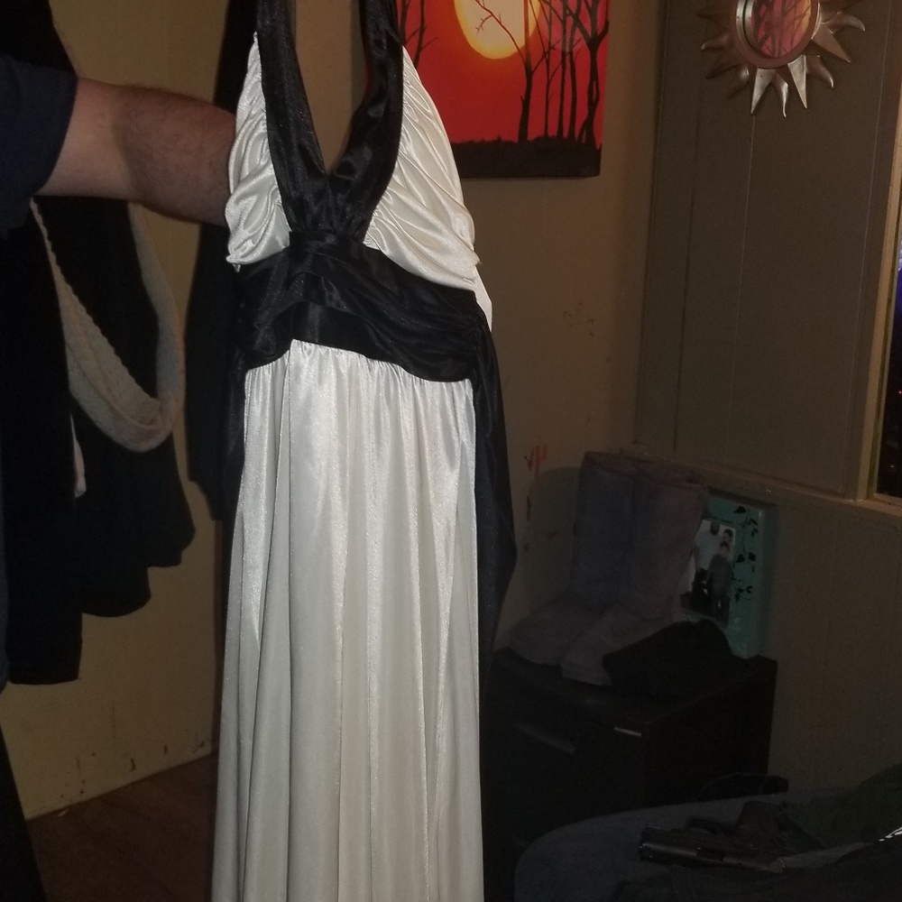 Women's silk dress